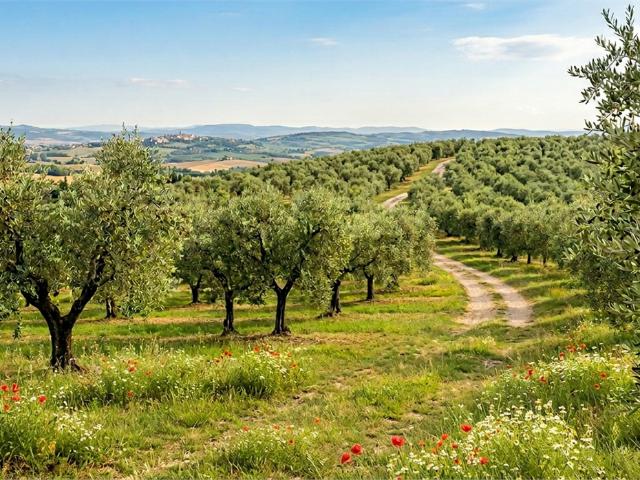Terreno agricolo in Vendita a Capannori