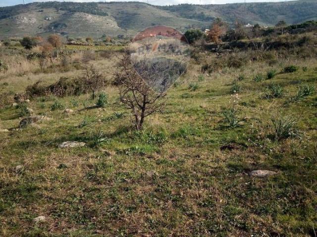 Terreno agricolo in vendita a Carlentini