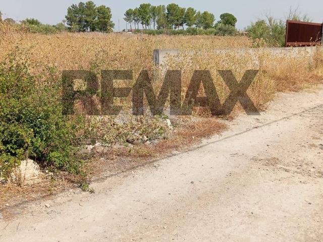 Terreno agricolo in vendita a Carlentini