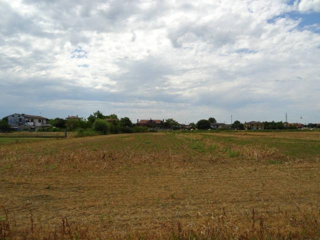 Terreno Agricolo in vendita a Carlino