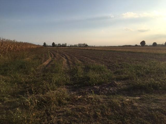 Terreno Agricolo in vendita a Carmagnola, Tuninetti