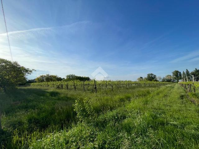 Terreno agricolo in vendita a Carpi