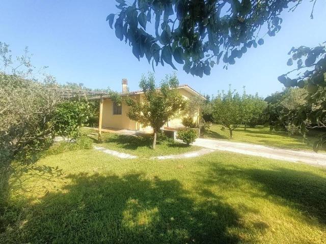 Terreno agricolo in vendita a Carrara