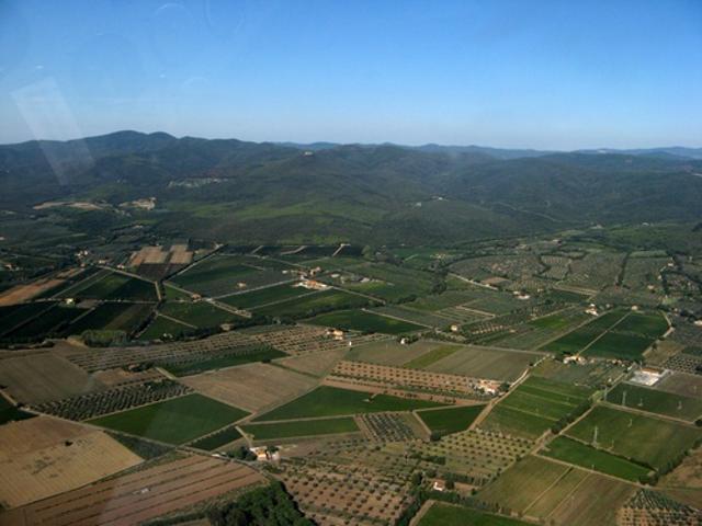 TERRENO AGRICOLO in VENDITA a CASTAGNETO CARDUCCI