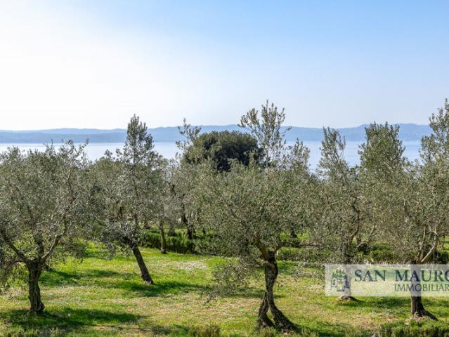 Terreno agricolo in Vendita a Castegnero