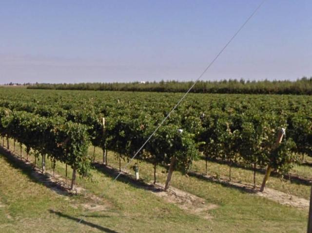 Terreno agricolo in vendita a Castel Bolognese