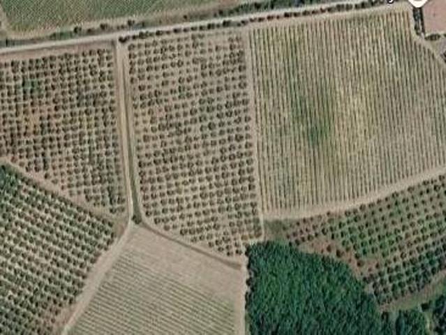 Terreno Agricolo in vendita a Castel del Piano, Montenero d'Orcia