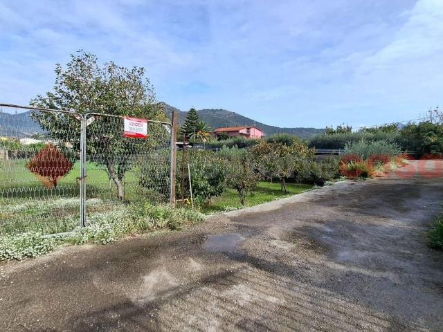 Terreno agricolo in vendita a Castel San Giorgio