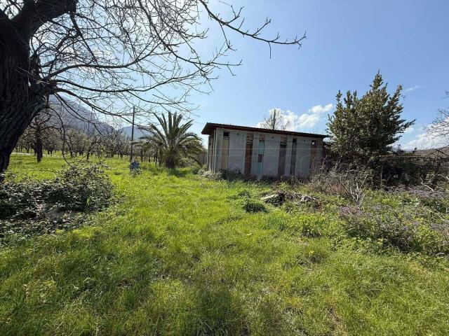 Terreno agricolo in Vendita a Castel San Giorgio