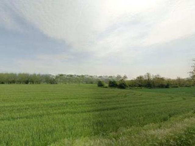 Terreno agricolo in vendita a Castelfranco di Sotto 19532 mq Rif: 1288372
