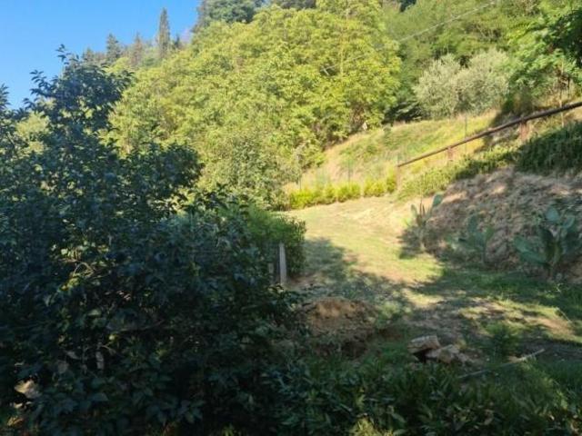 Terreno agricolo in vendita a Castelfranco di Sotto 2200 mq Rif: 1059501
