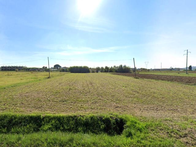 Terreno agricolo in Vendita a Castelfranco di Sotto