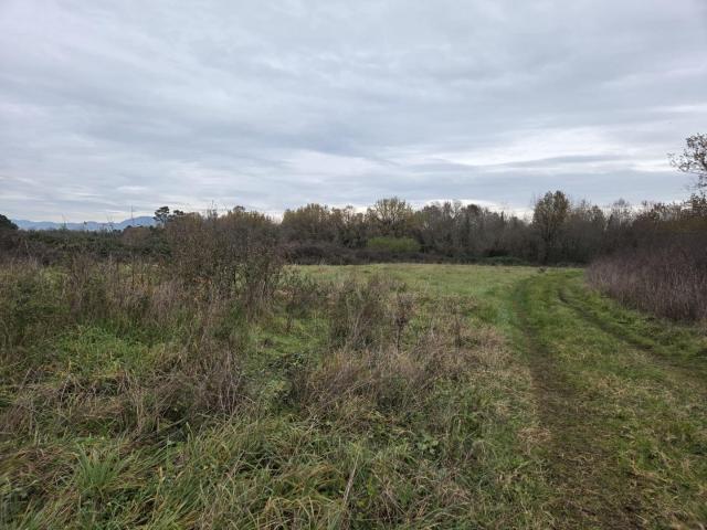 Terreno agricolo in Vendita a Castelfranco di Sotto