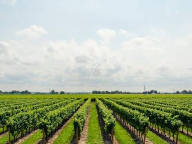Terreno agricolo in vendita a Castelfranco Veneto