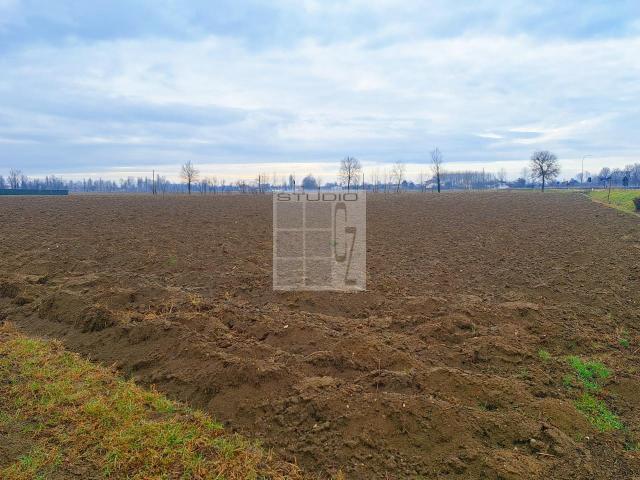 Terreno agricolo in vendita a Castelfranco Veneto