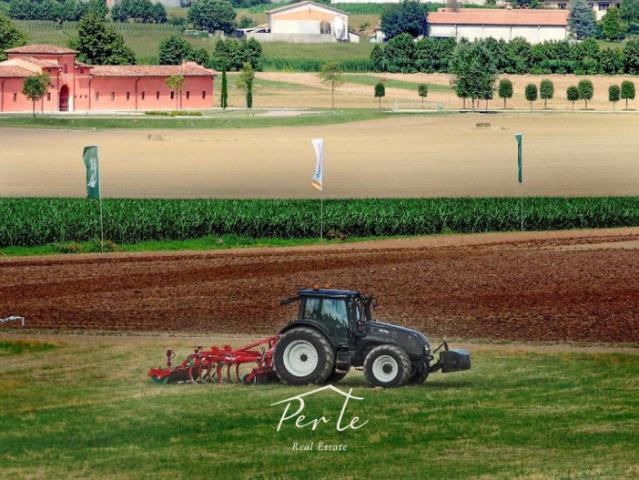Terreno agricolo in Vendita a Castellucchio
