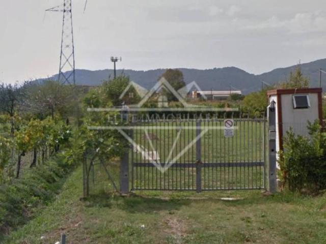 Terreno agricolo in vendita a Castelnuovo Magra