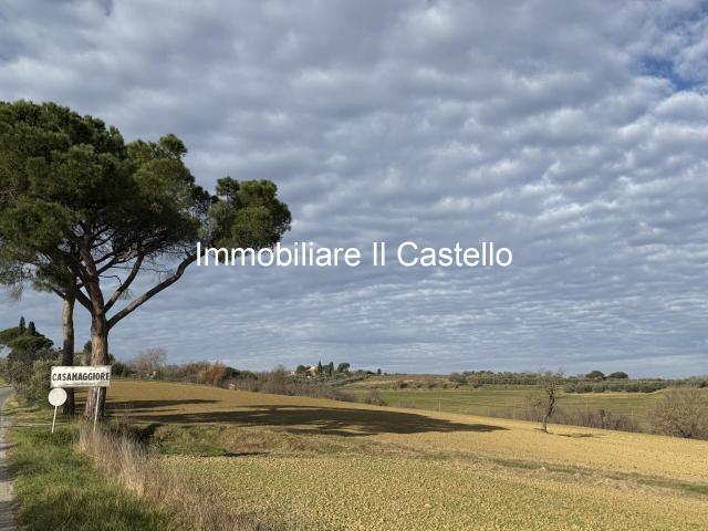 Terreno agricolo in vendita a Castiglione Del Lago