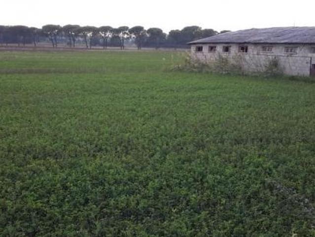 Terreno agricolo in vendita a Castiglione del Lago 590000 mq Rif: 928938