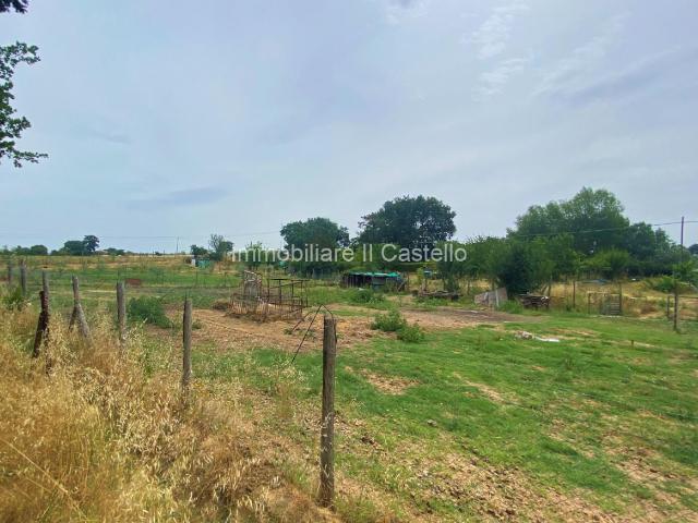 Terreno agricolo in vendita a Castiglione Del Lago