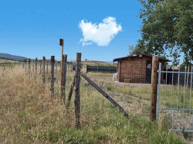 Terreno agricolo in vendita a Castiglione Della Pescaia