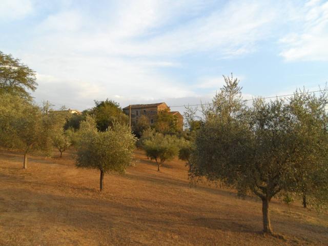 Terreno Agricolo in vendita a Castorano, San Silvestro