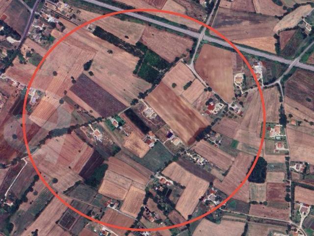 Terreno Agricolo in vendita a Castrocielo