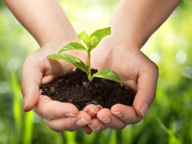Terreno Agricolo in vendita a Casale sul Sile