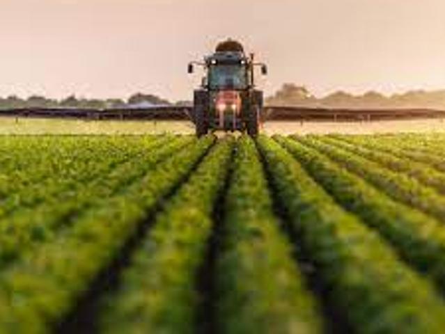 Terreno agricolo in Vendita a Casale sul Sile