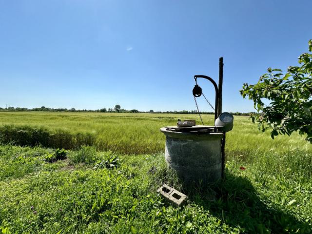 Terreno agricolo in Vendita a Casalserugo