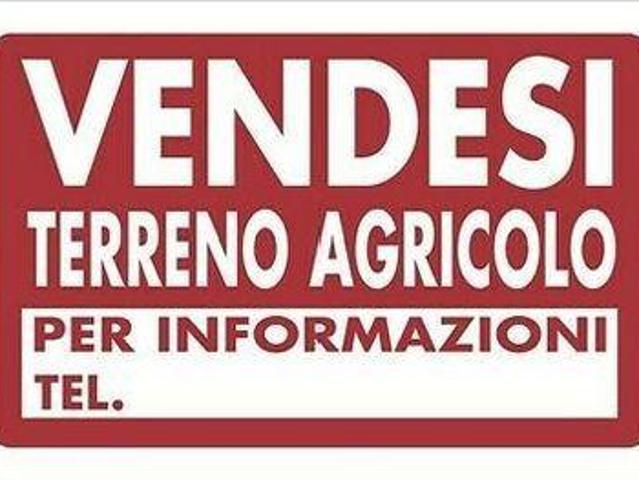 Terreno agricolo in Vendita a Cascina