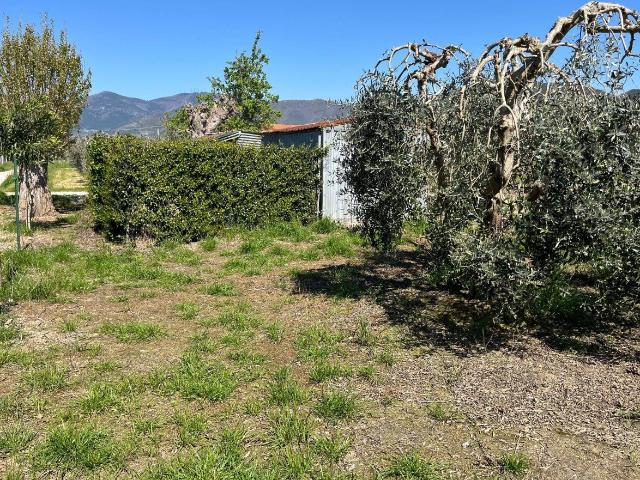 Terreno agricolo in vendita a Cascina