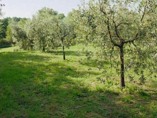 Terreno agricolo in vendita a Casciana Terme Lari 3400 mq Rif: 1414091