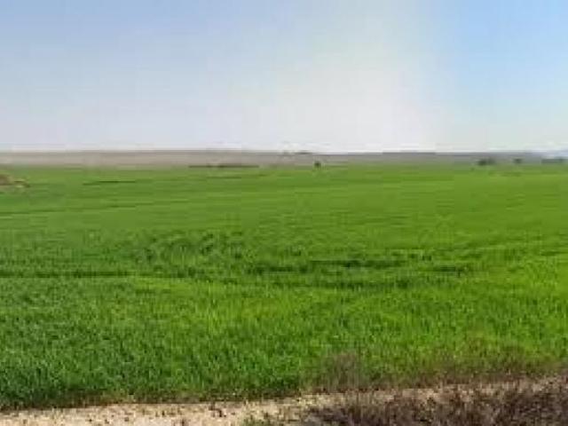 Terreno agricolo in vendita a Casciana Terme Lari 6300 mq Rif: 1318383