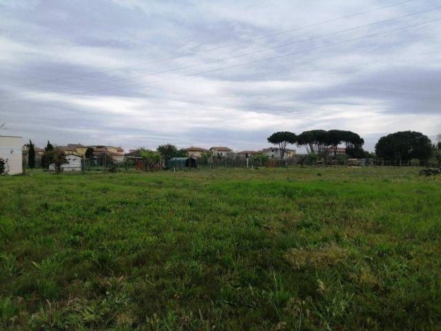 Terreno agricolo in vendita a Casciana Terme Lari