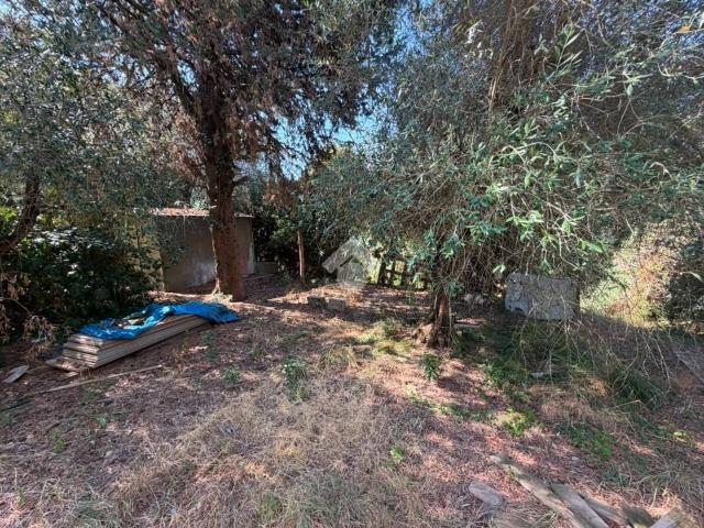 Terreno agricolo in vendita a Casciana Terme Lari