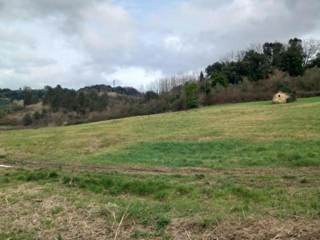 Terreno agricolo in vendita a Casciana Alta Casciana Terme Lari 15970 mq Rif: 1316634