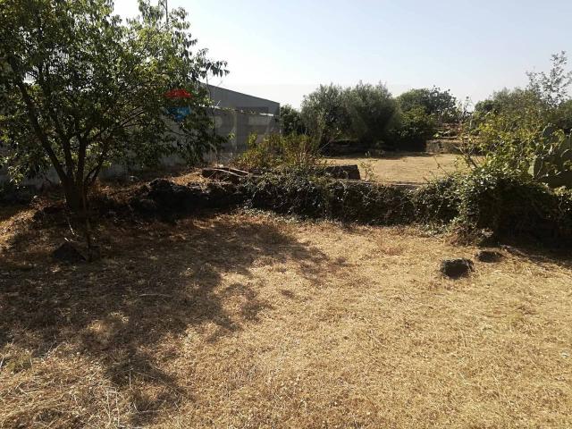 Terreno agricolo in vendita a Catania