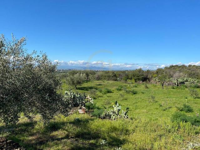 Terreno agricolo in vendita a Catania