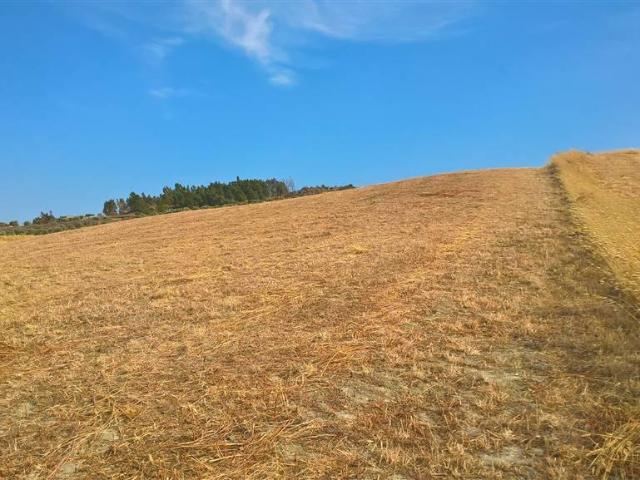 Terreno agricolo in vendita a Catanzaro