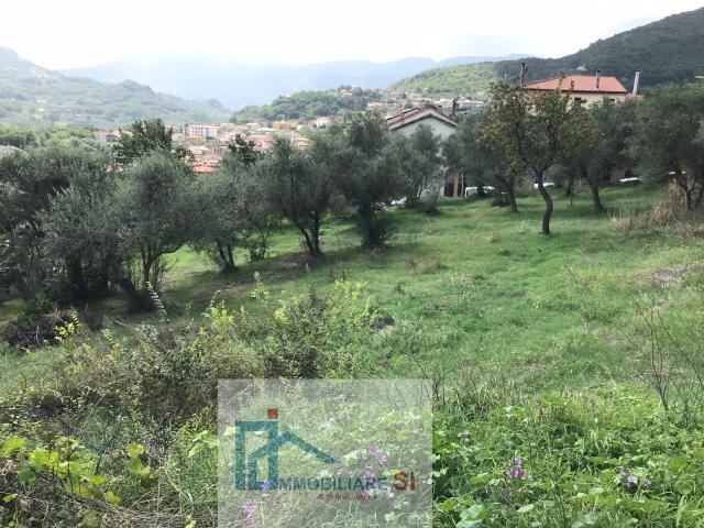 Terreno Agricolo in vendita a Cautano, Cacciano