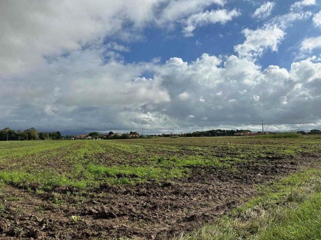 Terreno agricolo in vendita a Cecina