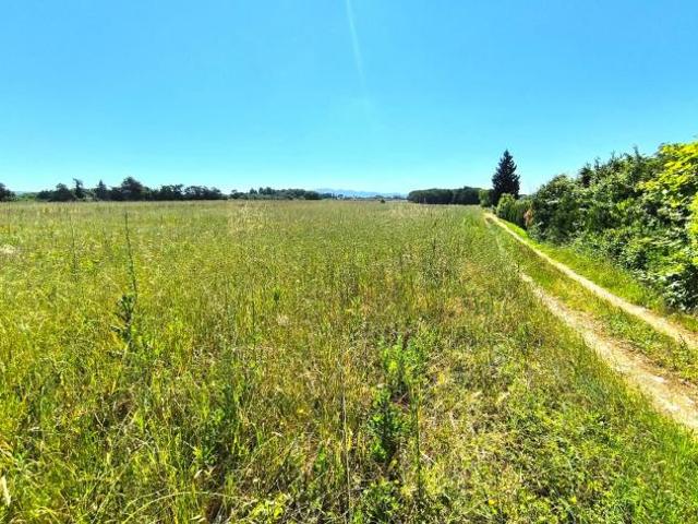 Terreno agricolo in vendita a Cecina 51840 mq Rif: 1414039