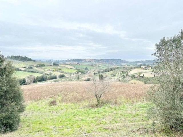 Terreno agricolo in vendita a Cecina