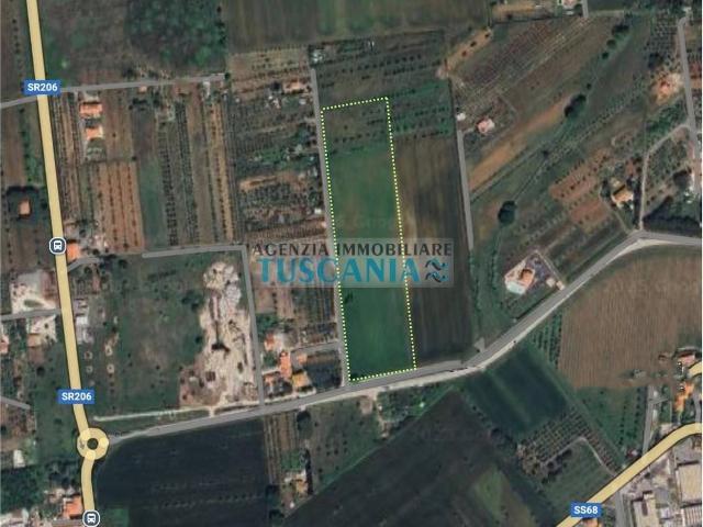 Terreno agricolo in vendita a Cecina