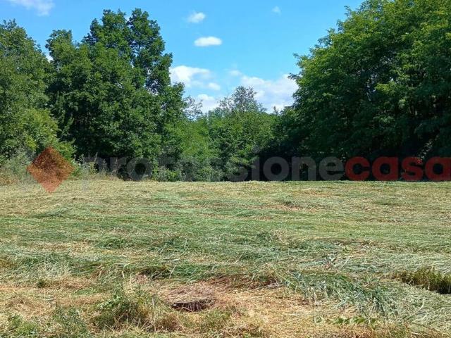 Terreno Agricolo in vendita a Ceprano