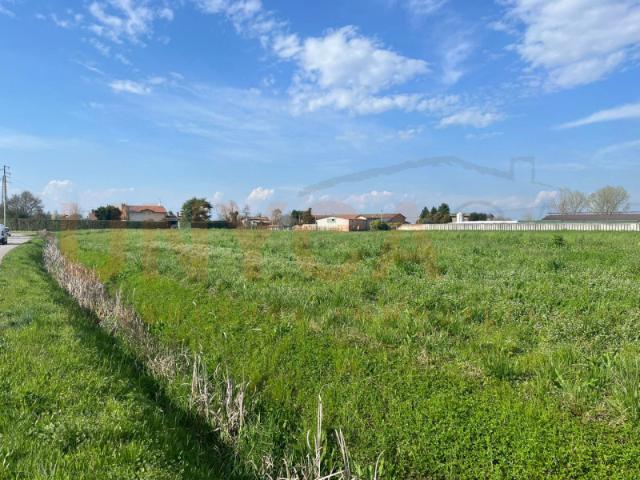 Terreno agricolo in Vendita a Cervarese Santa Croce