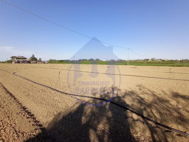 Terreno agricolo in vendita a Cervia