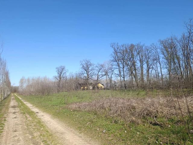 Terreno agricolo in vendita a Cergnago