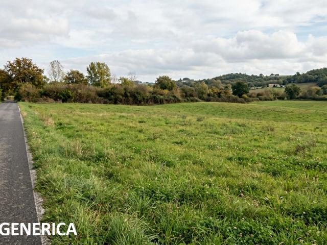 Terreno Agricolo in vendita a Cerreto Guidi